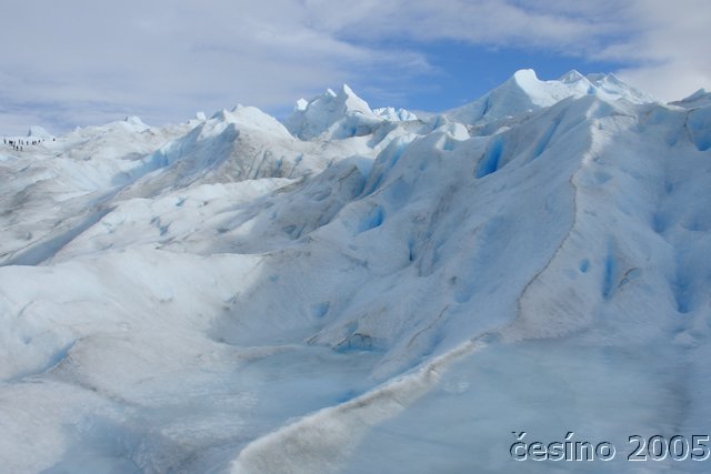 calafate_067.JPG