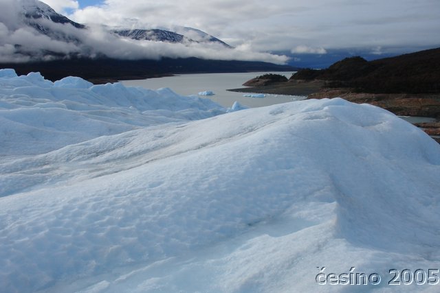 calafate_069.JPG