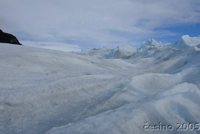 calafate_070.JPG