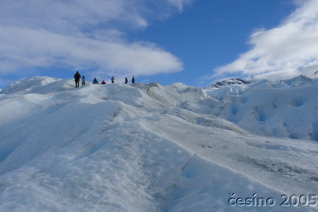 calafate_072.JPG