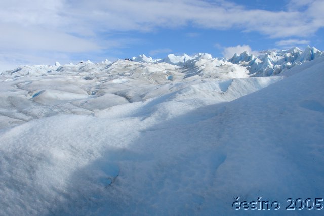 calafate_074.JPG