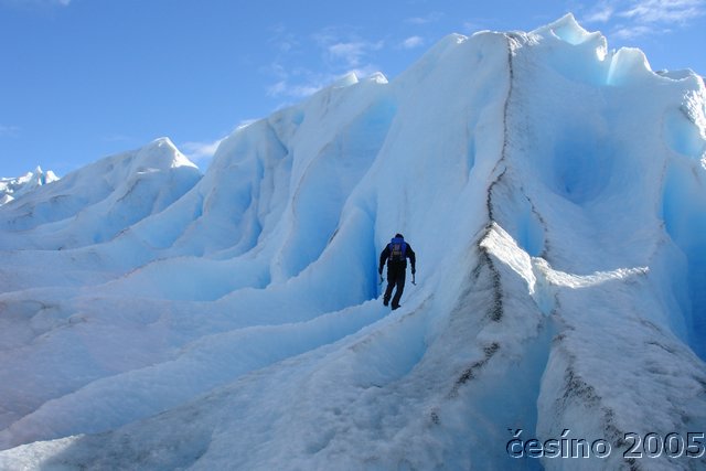 calafate_080.JPG