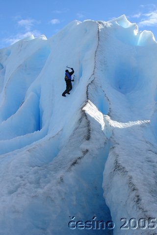 calafate_081.JPG