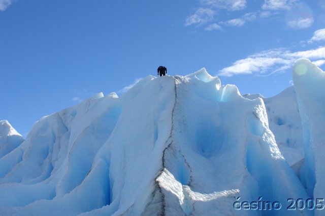 calafate_082.JPG