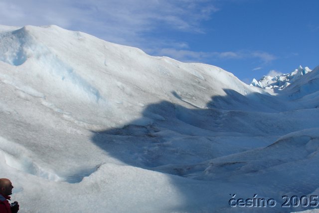 calafate_083.JPG