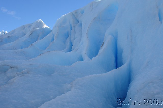 calafate_084.JPG