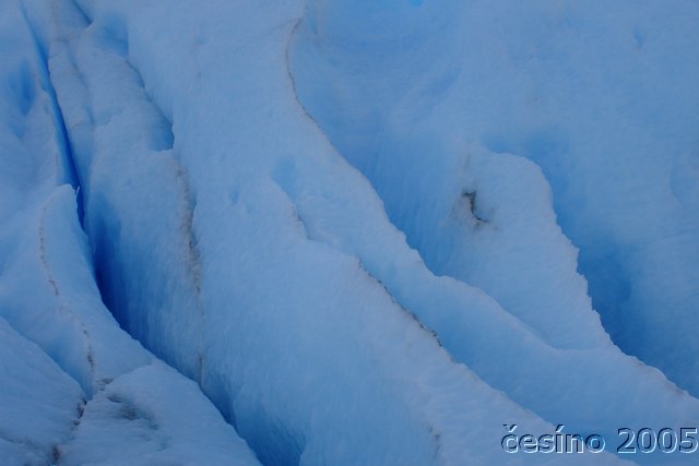 calafate_085.JPG