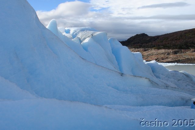 calafate_086.JPG