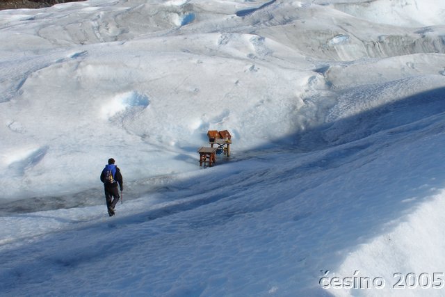 calafate_089.JPG