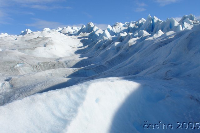 calafate_090.JPG