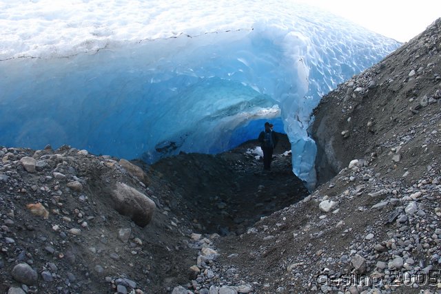 calafate_101.JPG