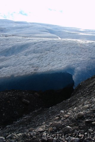 calafate_102.JPG