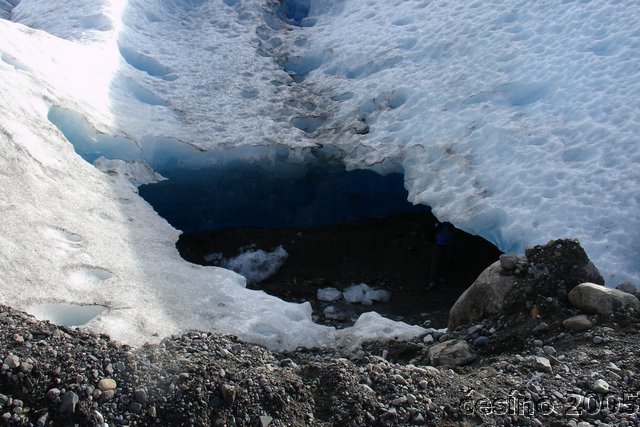 calafate_103.JPG