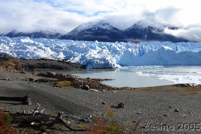 calafate_105.JPG