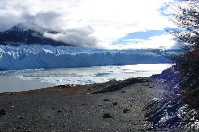 calafate_107.JPG