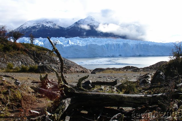 calafate_108.JPG