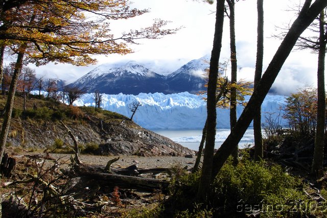 calafate_109.JPG