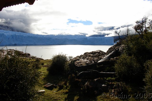 calafate_110.JPG