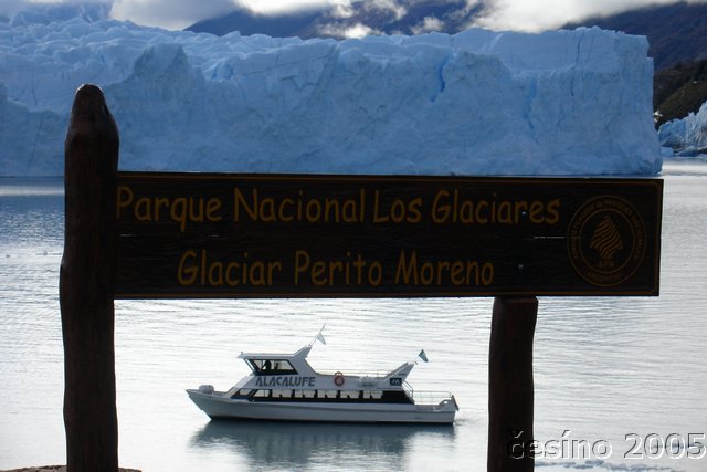 calafate_111.JPG