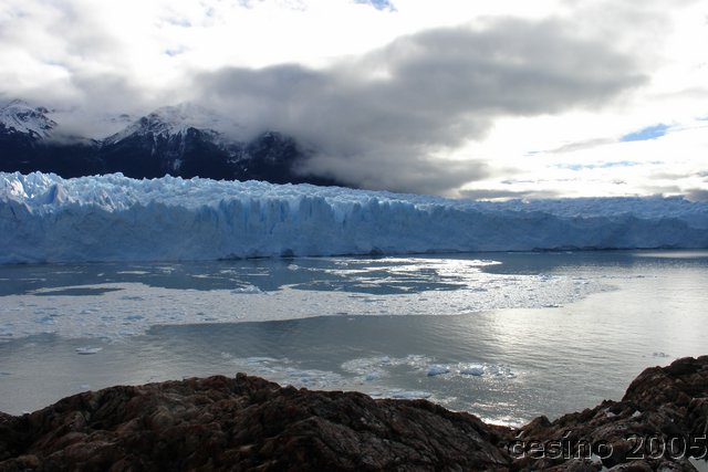 calafate_113.JPG