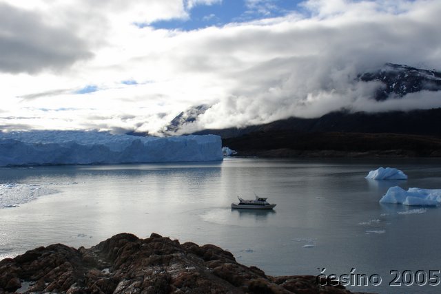 calafate_115.JPG