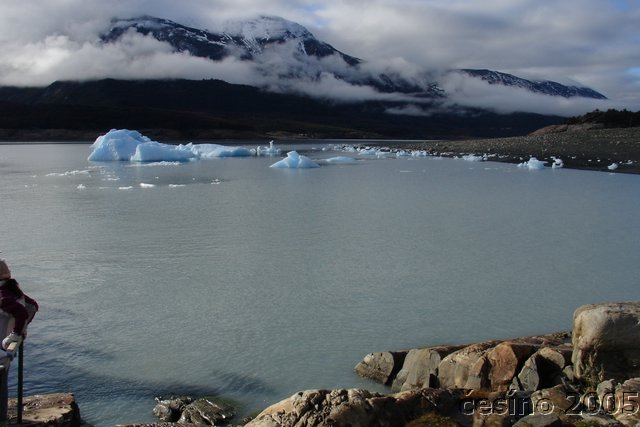 calafate_118.JPG