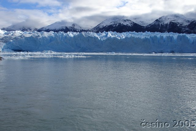 calafate_119.JPG