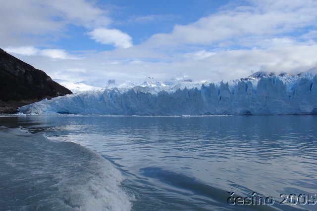 calafate_122.JPG