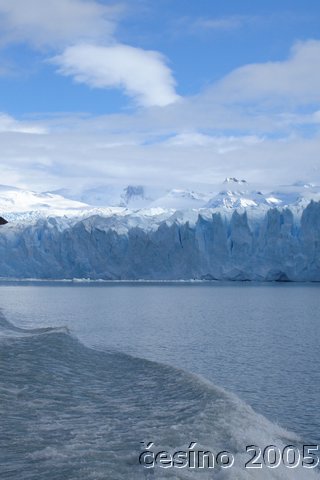 calafate_123.JPG