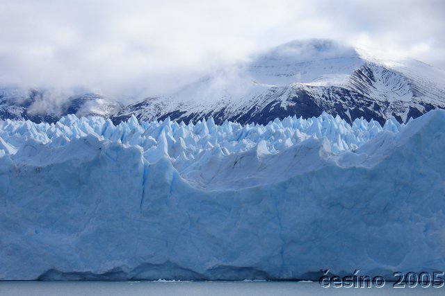 calafate_124.JPG