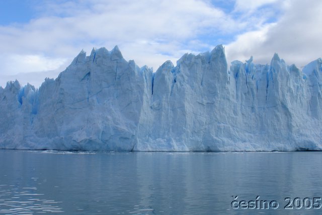 calafate_125.JPG