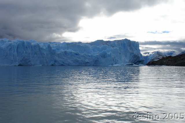 calafate_126.JPG