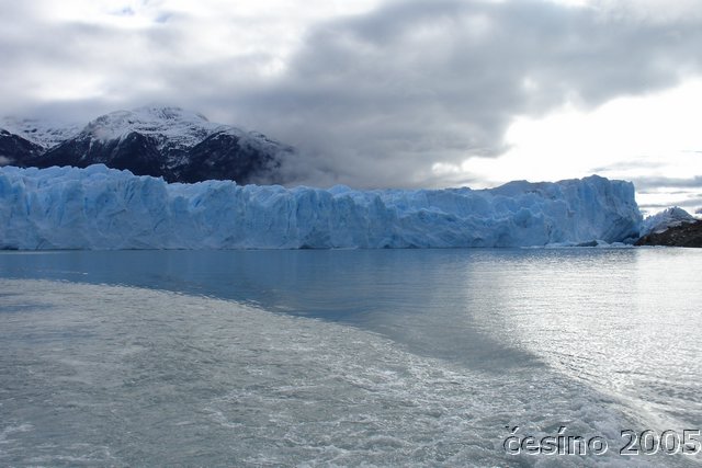 calafate_128.JPG