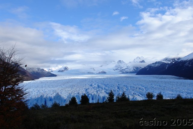 calafate_131.JPG