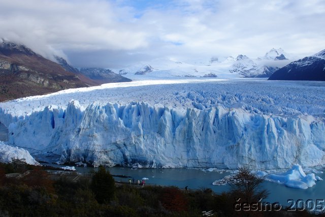 calafate_132.JPG