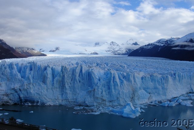 calafate_135.JPG