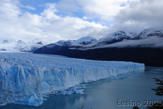 calafate_136.JPG