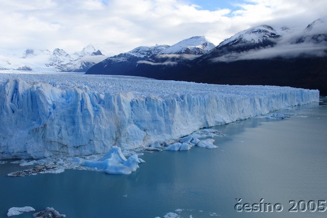 calafate_137.JPG