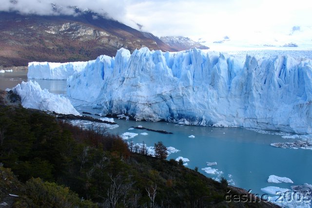 calafate_138.JPG