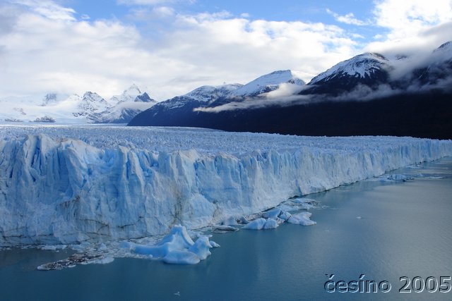 calafate_141.JPG