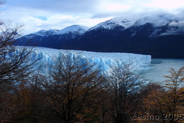 calafate_146.JPG