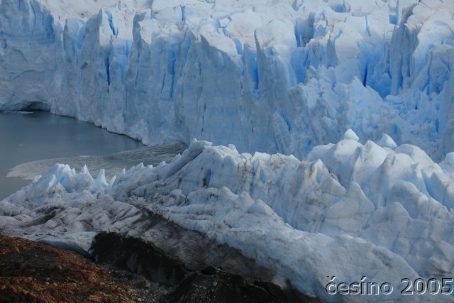 calafate_149.JPG