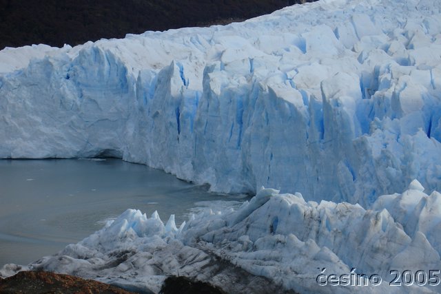 calafate_150.JPG