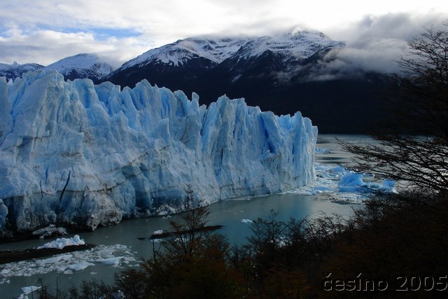 calafate_152.JPG