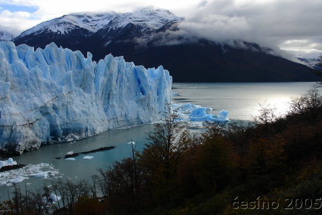 calafate_154.JPG