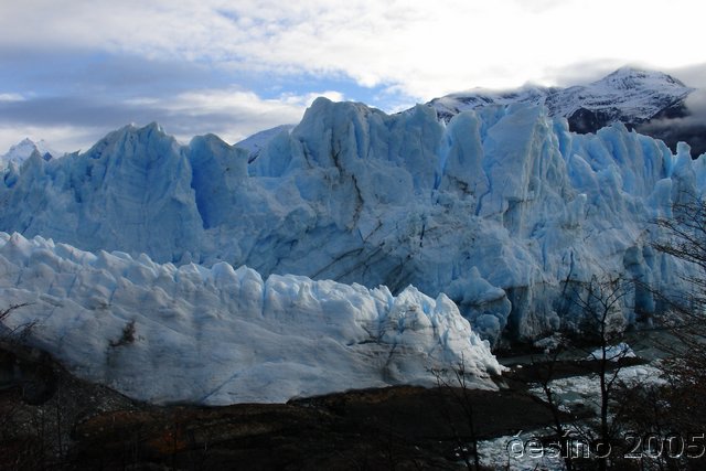 calafate_155.JPG