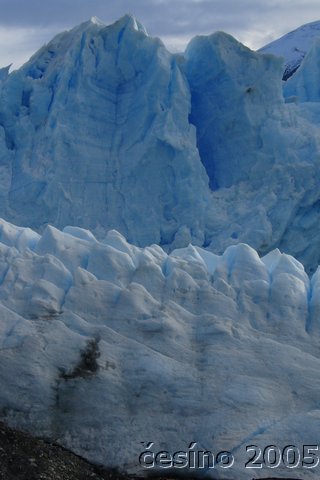 calafate_156.JPG