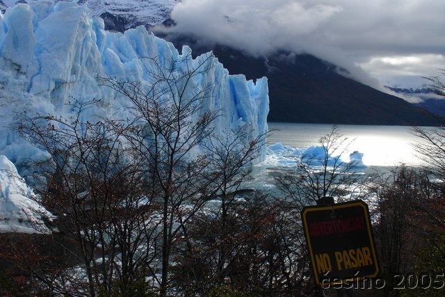 calafate_160.JPG