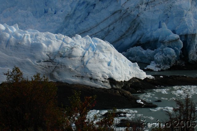 calafate_166.JPG