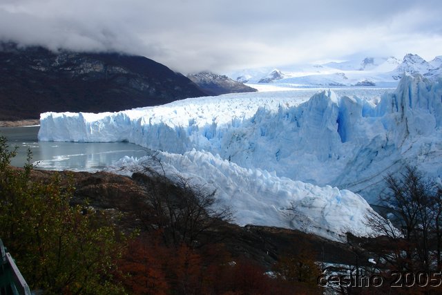 calafate_168.JPG